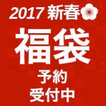 2017hukubukurocube_mini