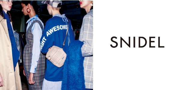 2017awsnidelbanner500