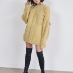 SND0118W0081_pz_a013