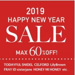 2019newyearsale-500