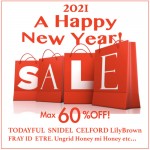 2021newyearsale-500