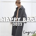 ungridhappybag-500